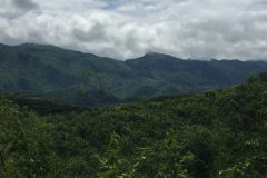 9744  27-7-19 view