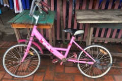 9802  30-7-19 bike