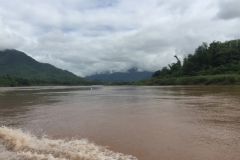 9835  1-8-19 river