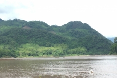 9837  1-8-19 river