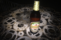 9844  1-8-19 dinner