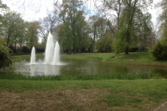 8096 21-4 lake