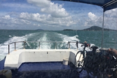 5627 1-2-19 wake