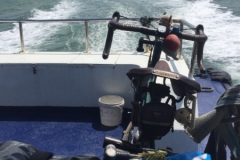 5630 1-2-19 wake
