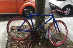 5639 1-2-19 bike