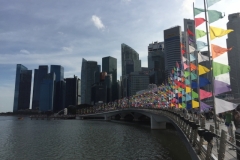 5672 2-2-19 flags