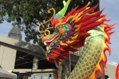 5678 2-2-19 dragon