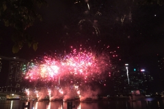 5774 4-2-19 fireworks