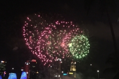 5798 4-2-19 fireworks