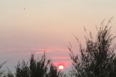 5830 8-2-19 sunset