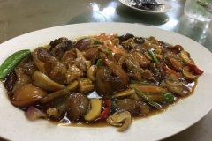5842 9-2-19  platter