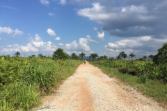 5875 10-2-19  road through fields