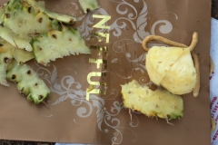 5879 10-2-19  pineapples