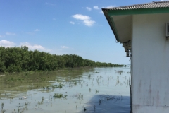 5907 11-2-19  River