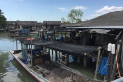 5916 11-2-19  River village