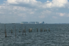 5917 11-2-19  River view