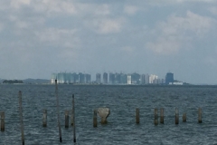 5918 11-2-19  River view