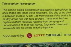 5930 11-2-19  info board