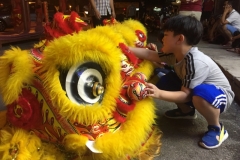 5982 12-2-19 Lion dancer head