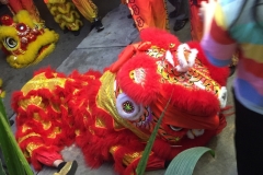 5984 12-2-19 Lion dancer