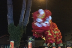 5990 12-2-19 Lion dancer