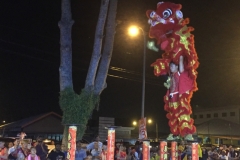 5991 12-2-19 Lion dancer