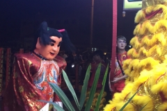 5994 12-2-19 Lion dancer