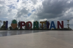 6086 14-2-19 Pontian