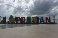 6087 14-2-19 Pontian