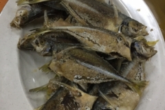 6104 14-2-19 fish