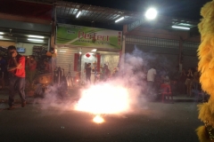 6134 15-2-19 firecracker