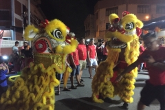 6142 15-2-19 Lion dancer
