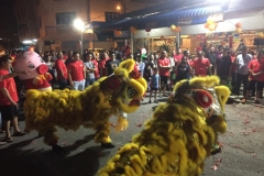 6144 15-2-19 Lion dancer
