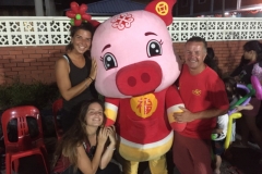 6152 15-2-19 Pig