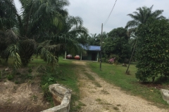 6260 18-2-19 path