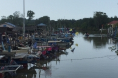 6289 19-2-19 river
