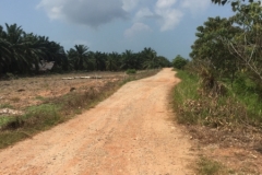 6292 19-2-19 road