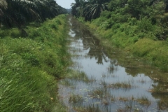 6293 19-2-19 river