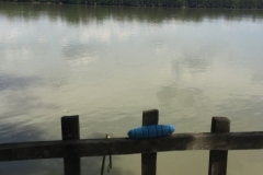 6318 20-2-19 river