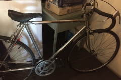 6349 22-2-19 bike