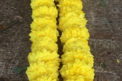 6370 22-2-19 flower garlands