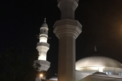 6376 22-2-19 temple