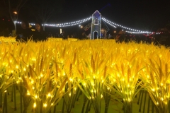 6383 22-2-19 lights