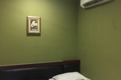 6399 23-2-19 bedroom