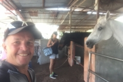 6657 5-3-19 horse