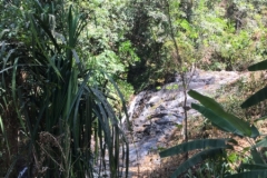 6662 5-3-19 lo falls