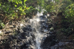 6667 5-3-19 waterfall