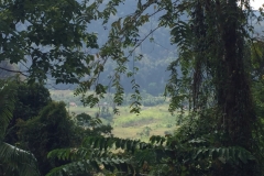 6735 7-3-19 view