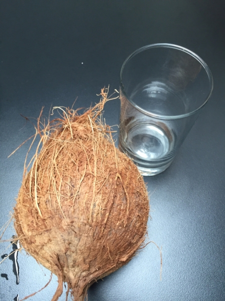 5006 2-1-19 Coconut