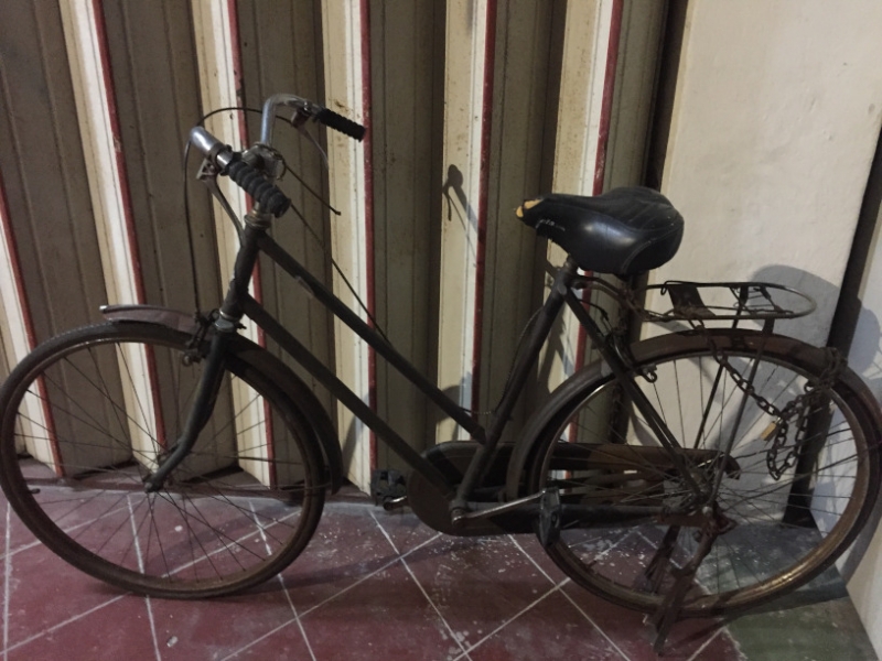 5031 3-1-19 Bike